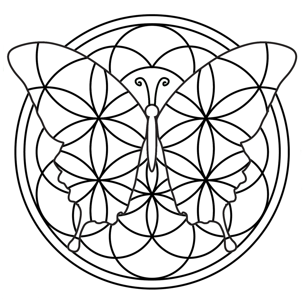 Kit feutrage Mandalaine Butterfly Seed of Life - mandalaine.fr