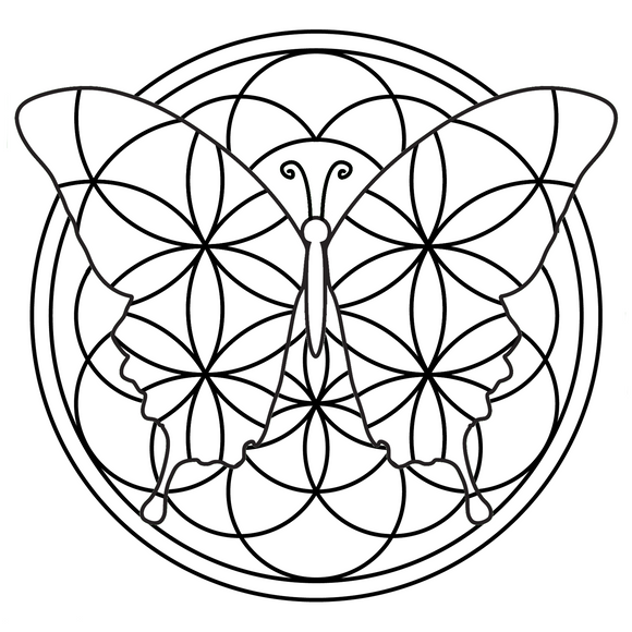 Kit feutrage Mandalaine Butterfly Seed of Life - mandalaine.fr