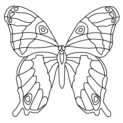 Kit Papillon Nature - mandalaine.fr